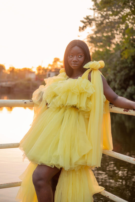 The Claravessia Dress