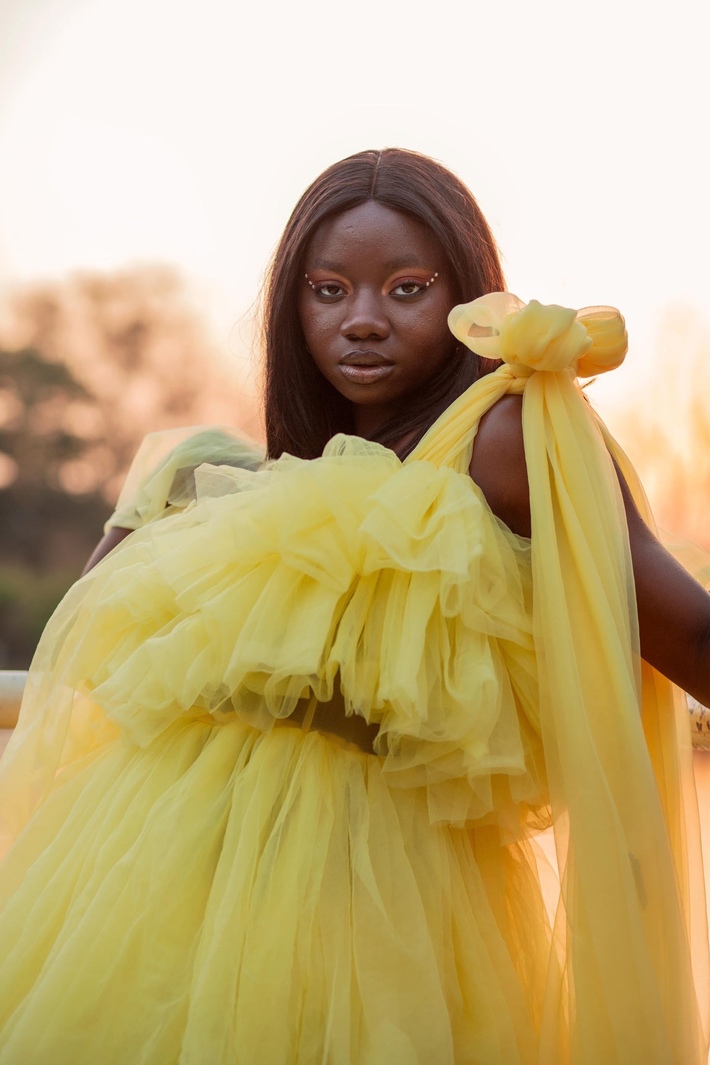 The Claravessia Dress